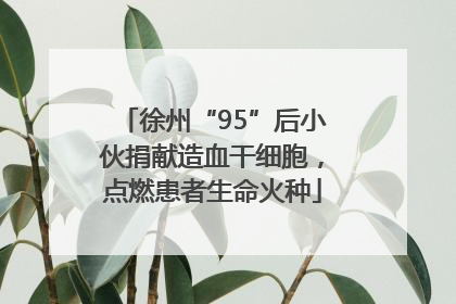 徐州“95”后小伙捐献造血干细胞，点燃患者生命火种