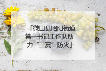 微山县昭阳街道第一书记工作队助力“三夏”防火