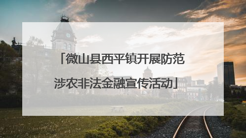 微山县西平镇开展防范涉农非法金融宣传活动