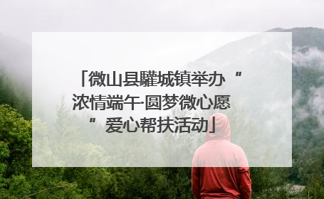 微山县驩城镇举办“浓情端午·圆梦微心愿”爱心帮扶活动