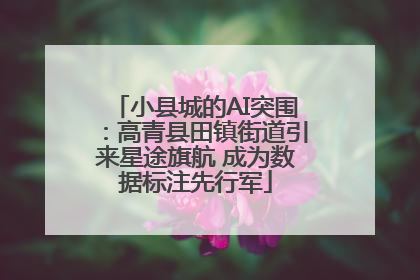 小县城的AI突围：高青县田镇街道引来星途旗航 成为数据标注先行军