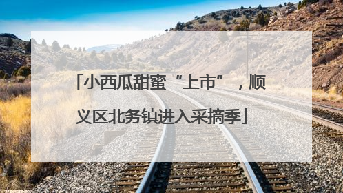 小西瓜甜蜜“上市”，顺义区北务镇进入采摘季