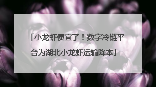 小龙虾便宜了！数字冷链平台为湖北小龙虾运输降本