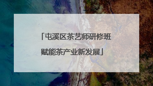屯溪区茶艺师研修班赋能茶产业新发展