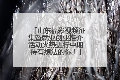 山东福彩视频征集暨就业创业推介活动火热进行中期待有想法的你！