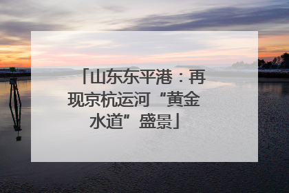 山东东平港：再现京杭运河“黄金水道”盛景