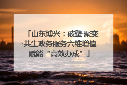 山东博兴：破壁·聚变·共生政务服务六维增值赋能“高效办成”