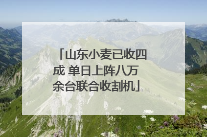 山东小麦已收四成 单日上阵八万余台联合收割机