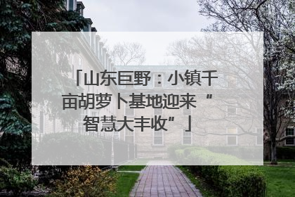 山东巨野：小镇千亩胡萝卜基地迎来“智慧大丰收”