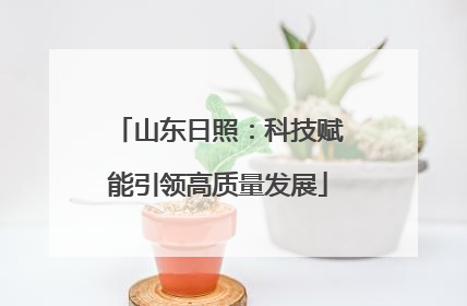山东日照：科技赋能引领高质量发展