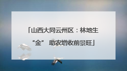 山西大同云州区：林地生“金” 助农增收前景旺