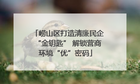 崂山区打造清廉民企“金钥匙” 解锁营商环境“优”密码