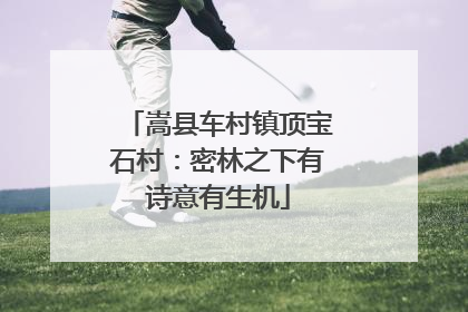 嵩县车村镇顶宝石村：密林之下有诗意有生机