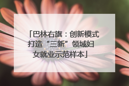 巴林右旗：创新模式 打造“三新”领域妇女就业示范样本