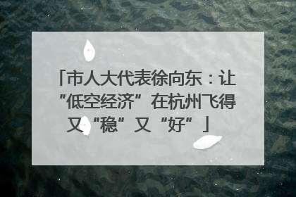 市人大代表徐向东：让“低空经济”在杭州飞得又“稳”又“好”