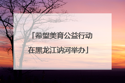希望美育公益行动在黑龙江讷河举办