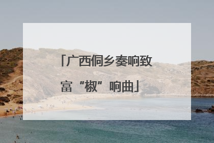 广西侗乡奏响致富“椒”响曲