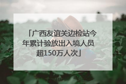 广西友谊关边检站今年累计验放出入境人员超150万人次