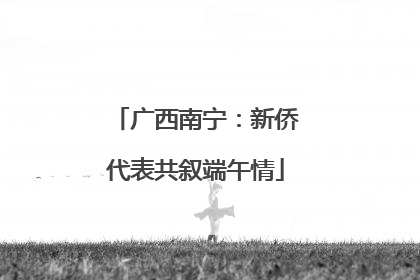 广西南宁：新侨代表共叙端午情