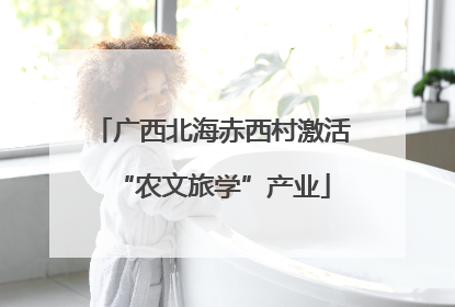 广西北海赤西村激活“农文旅学”产业