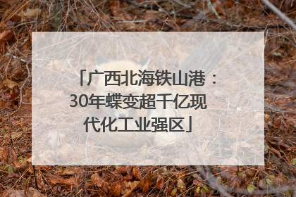 广西北海铁山港：30年蝶变超千亿现代化工业强区