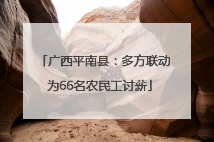 广西平南县：多方联动为66名农民工讨薪