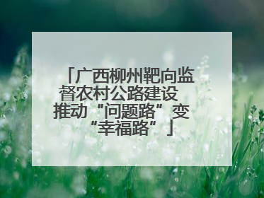广西柳州靶向监督农村公路建设 推动“问题路”变“幸福路”