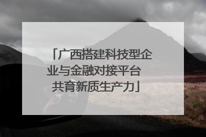 广西搭建科技型企业与金融对接平台 共育新质生产力