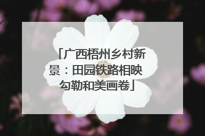 广西梧州乡村新景：田园铁路相映 勾勒和美画卷