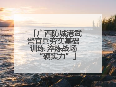 广西防城港武警官兵夯实基础训练 淬炼战场“硬实力”