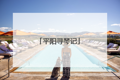 平阳寻琴记