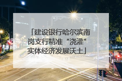 建设银行哈尔滨南岗支行精准“浇灌”实体经济发展沃土