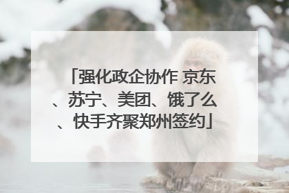强化政企协作 京东、苏宁、美团、饿了么、快手齐聚郑州签约