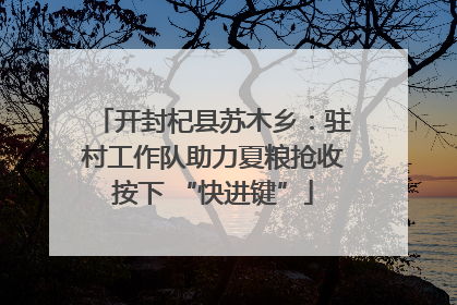 开封杞县苏木乡：驻村工作队助力夏粮抢收按下 “快进键”