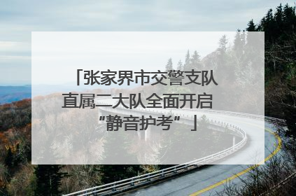 张家界市交警支队直属二大队全面开启“静音护考”