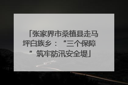 张家界市桑植县走马坪白族乡：“三个保障”筑牢防汛安全堤
