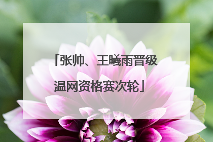 张帅、王曦雨晋级温网资格赛次轮