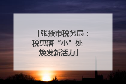 张掖市税务局：税惠落“小”处 焕发新活力