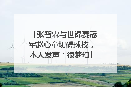 张智霖与世锦赛冠军赵心童切磋球技，本人发声：很梦幻