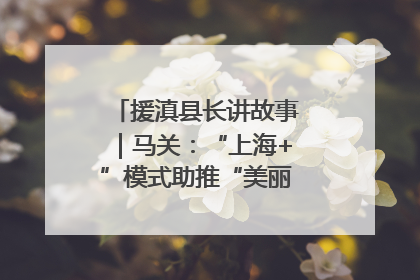 援滇县长讲故事｜马关：“上海+”模式助推“美丽产业”幸福绽放