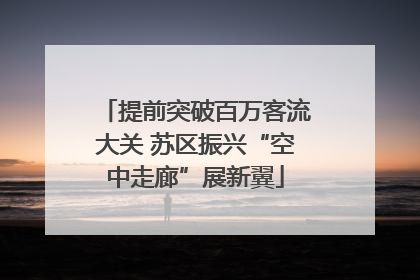 提前突破百万客流大关 苏区振兴“空中走廊”展新翼