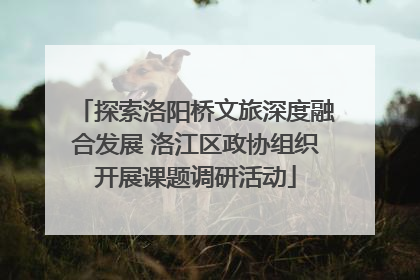 探索洛阳桥文旅深度融合发展 洛江区政协组织开展课题调研活动