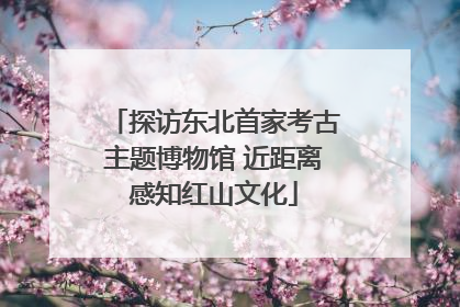 探访东北首家考古主题博物馆 近距离感知红山文化