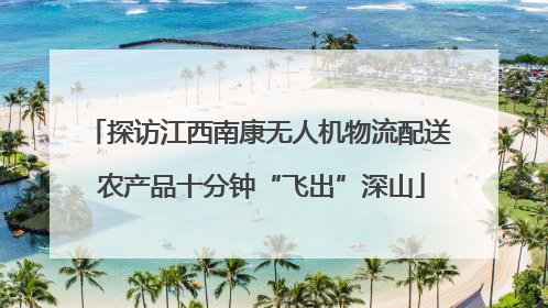 探访江西南康无人机物流配送 农产品十分钟“飞出”深山
