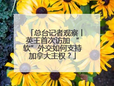 总台记者观察丨英王首次访加 “软”外交如何支持加拿大主权？