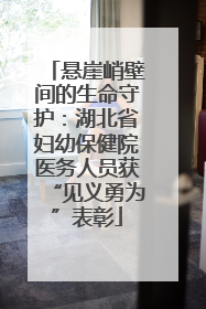 悬崖峭壁间的生命守护：湖北省妇幼保健院医务人员获“见义勇为”表彰