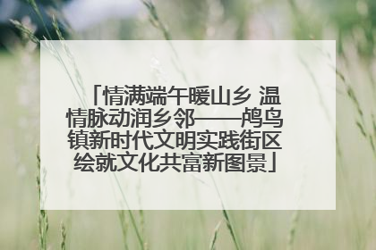情满端午暖山乡 温情脉动润乡邻——鸬鸟镇新时代文明实践街区绘就文化共富新图景