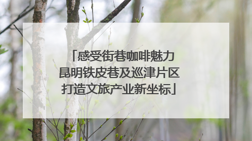 感受街巷咖啡魅力 昆明铁皮巷及巡津片区打造文旅产业新坐标
