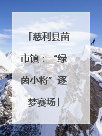 慈利县苗市镇：“绿茵小将”逐梦赛场