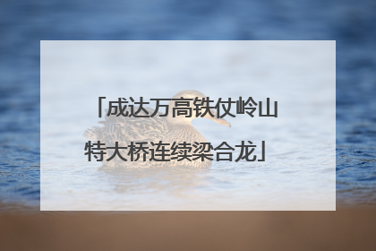 成达万高铁仗岭山特大桥连续梁合龙